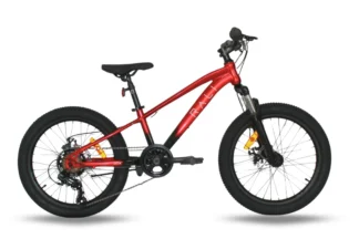 RALI S-PRO 20" Disc