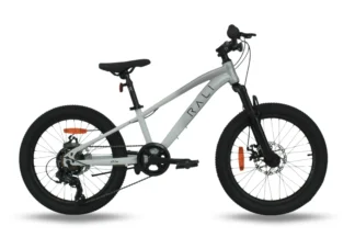 RALI S-PRO 20" Disc
