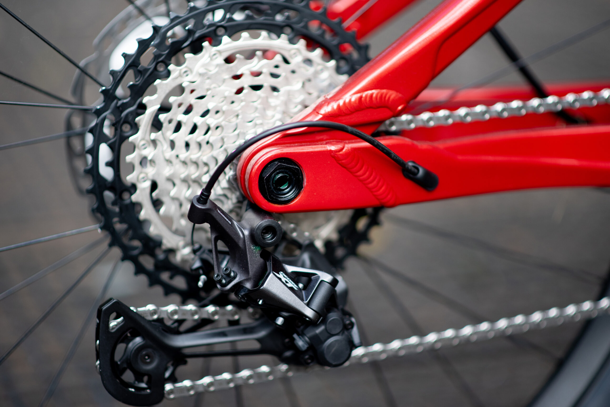 BH AtomE Lynx Pro 8.2 - Imagen 6